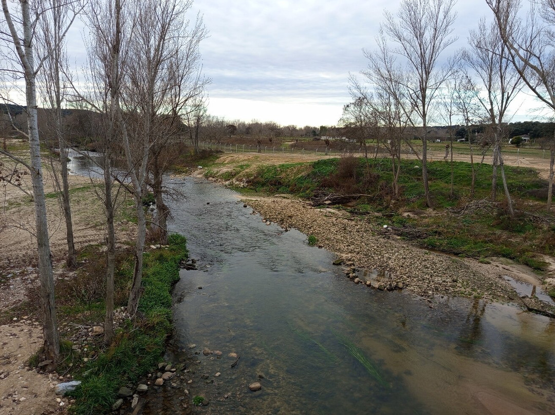 Nuevo Puente De La Pedrera-Aldea del Fresno必去景点