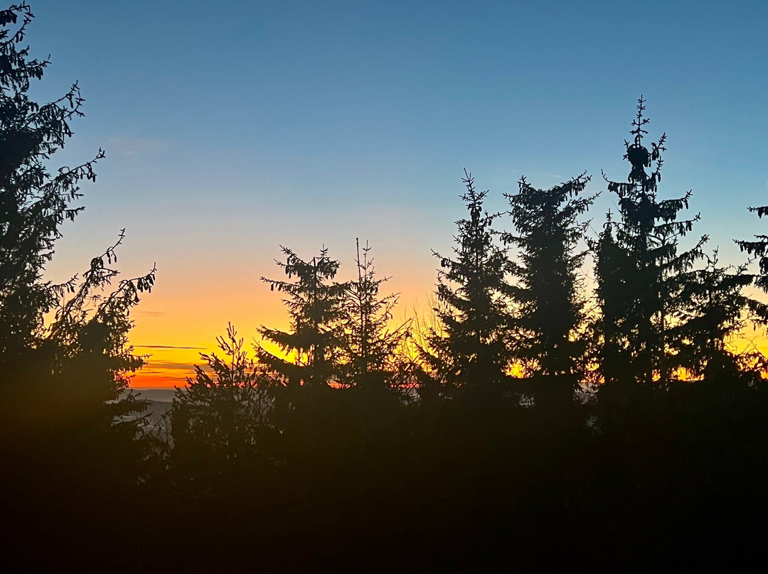 Hotel Moreni & Spa主图