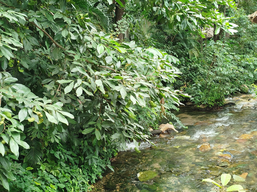 Parque Das Fontes-热河市必去景点