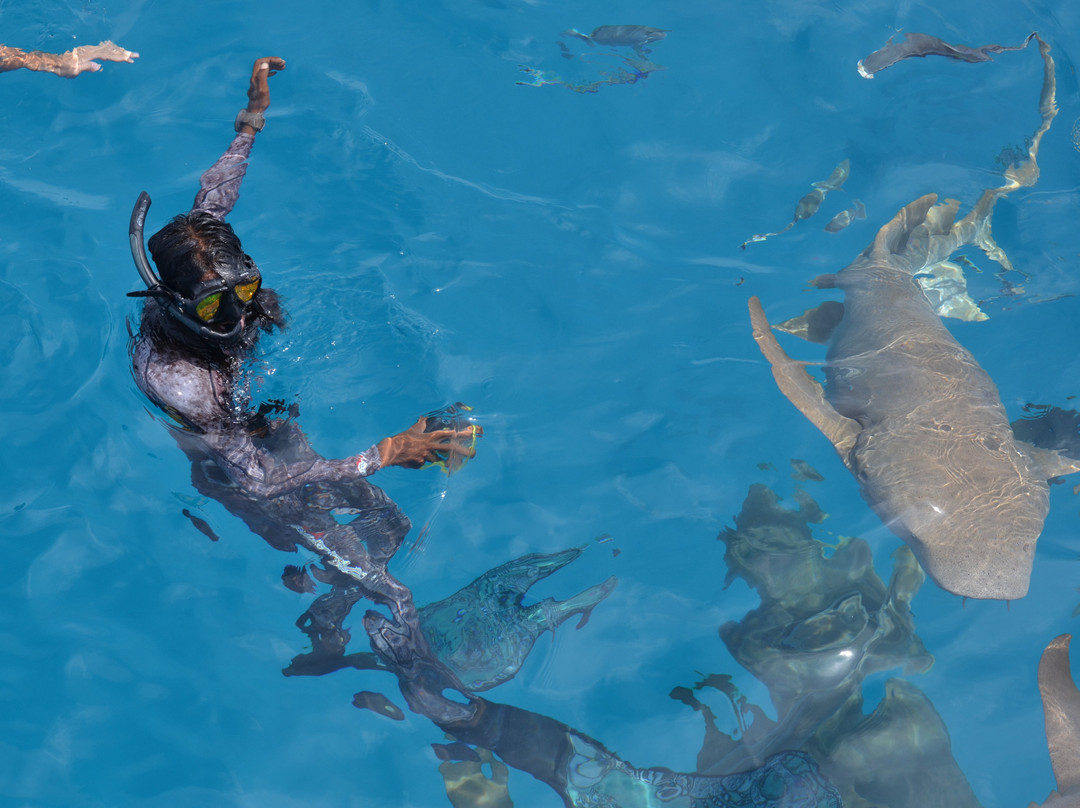 Thari Fushi Maldives主图