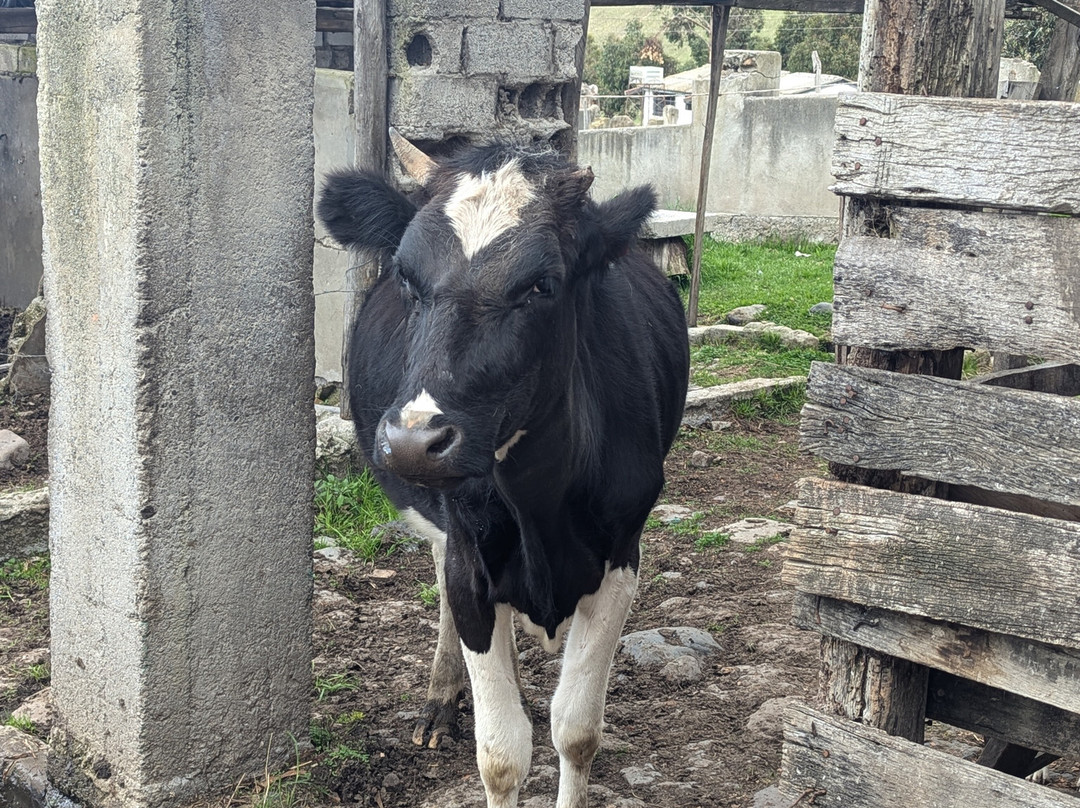 Posada De Tigua主图