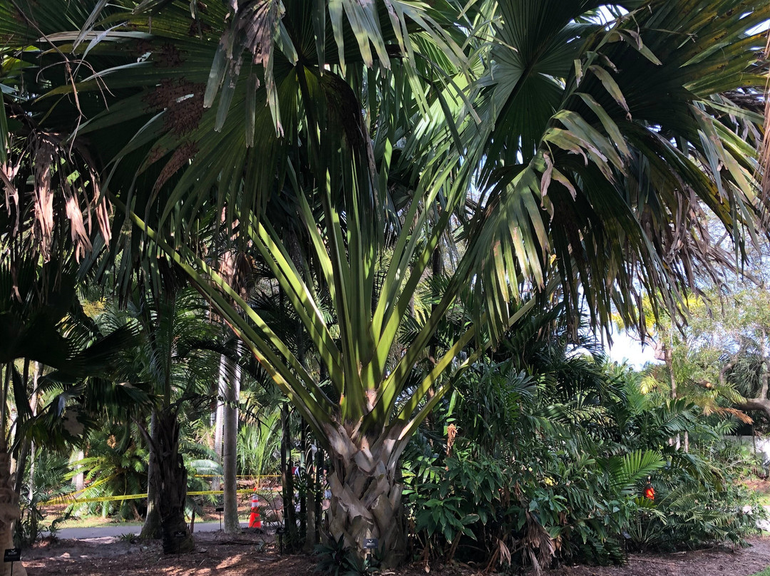 Deerfield Beach Arboretum景点图片