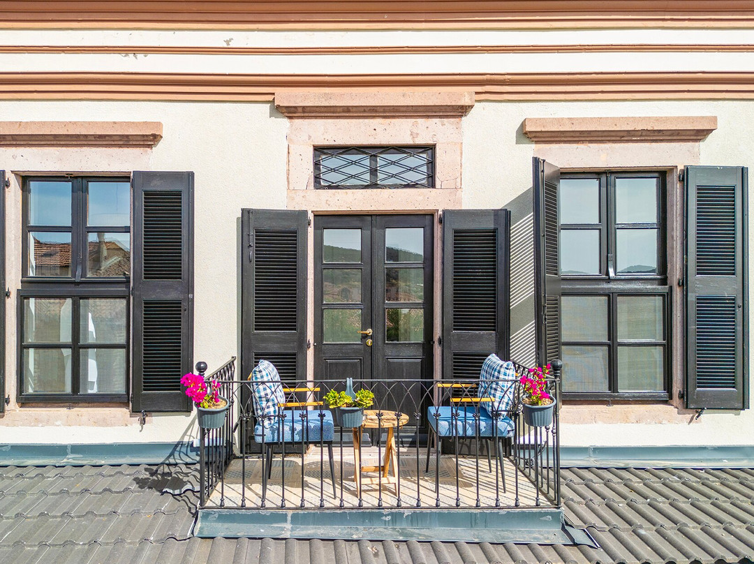 Siyah Lale Cunda 1841主图