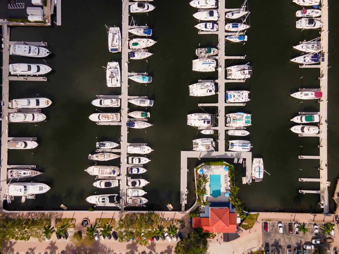 Twin Dolphin Marina-布雷登顿必去景点