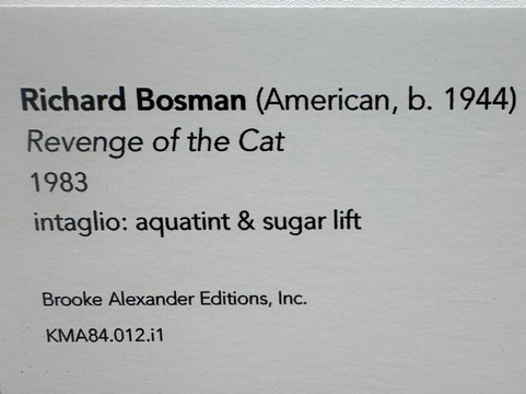 Kennedy Museum of Art