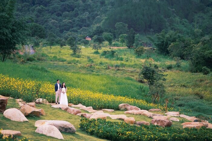 The Florest - Hoa Trong Rừng-Lam Dong必去景点