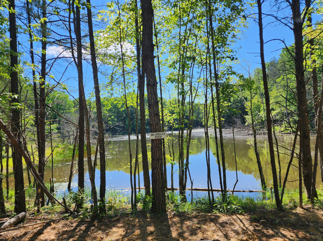 East Fork Stables-Jamestown必去景点