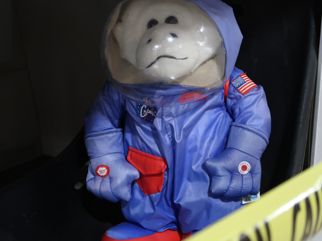 Air Victory Museum-Lumberton必去景点