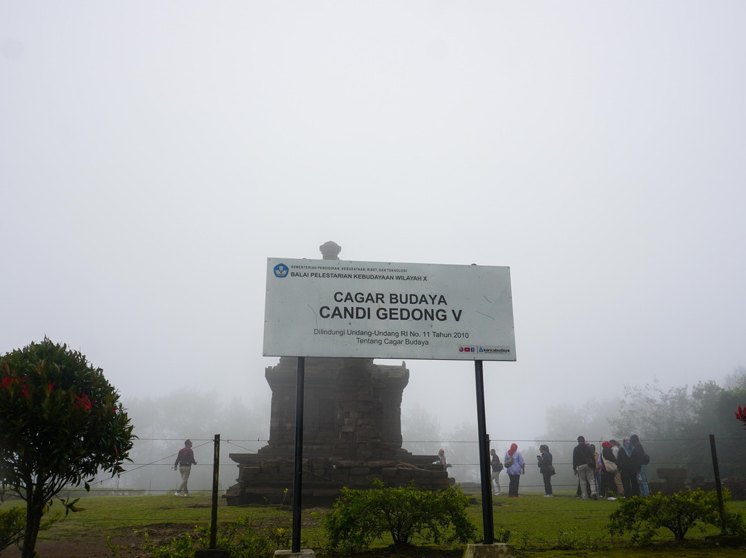 Gedong Songo Temple景点图片