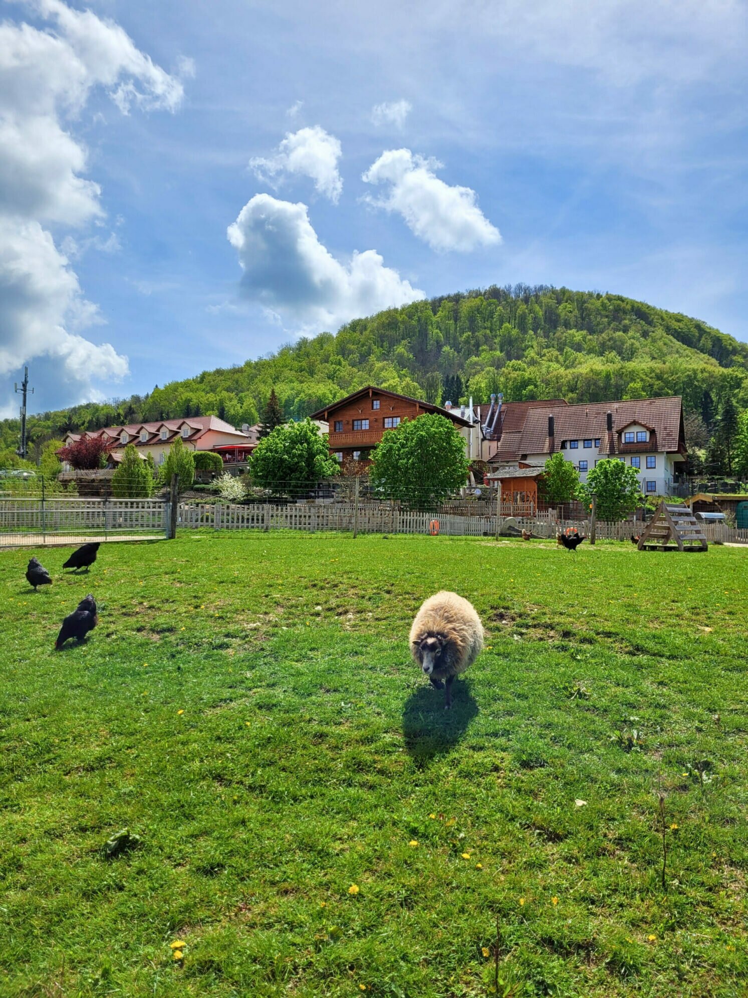 Landgasthof Deutsches Haus-浴室
