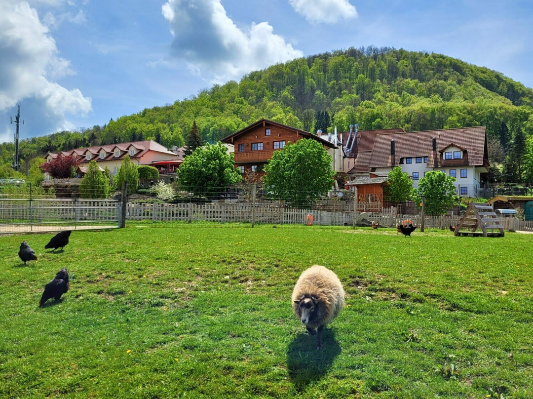 Landgasthof Deutsches Haus主图