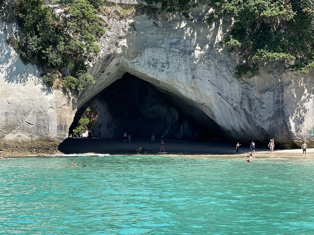 Mercury Bay Discoveries - River & Waterways Cruise景点图片