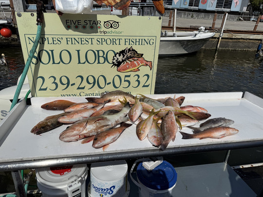 Captain Eric Inc.-那不勒斯必去景点