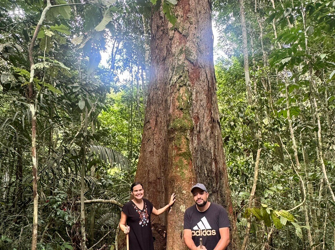 Turismo na Amazônia- Carverna do Maoraga-Presidente Figueiredo必去景点