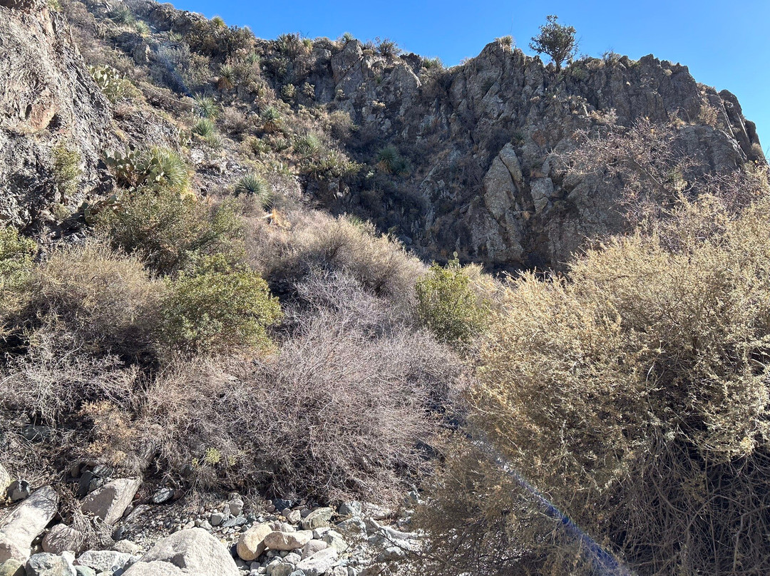 Organ Mountains-Desert Peaks National Monument-拉斯克鲁塞斯必去景点