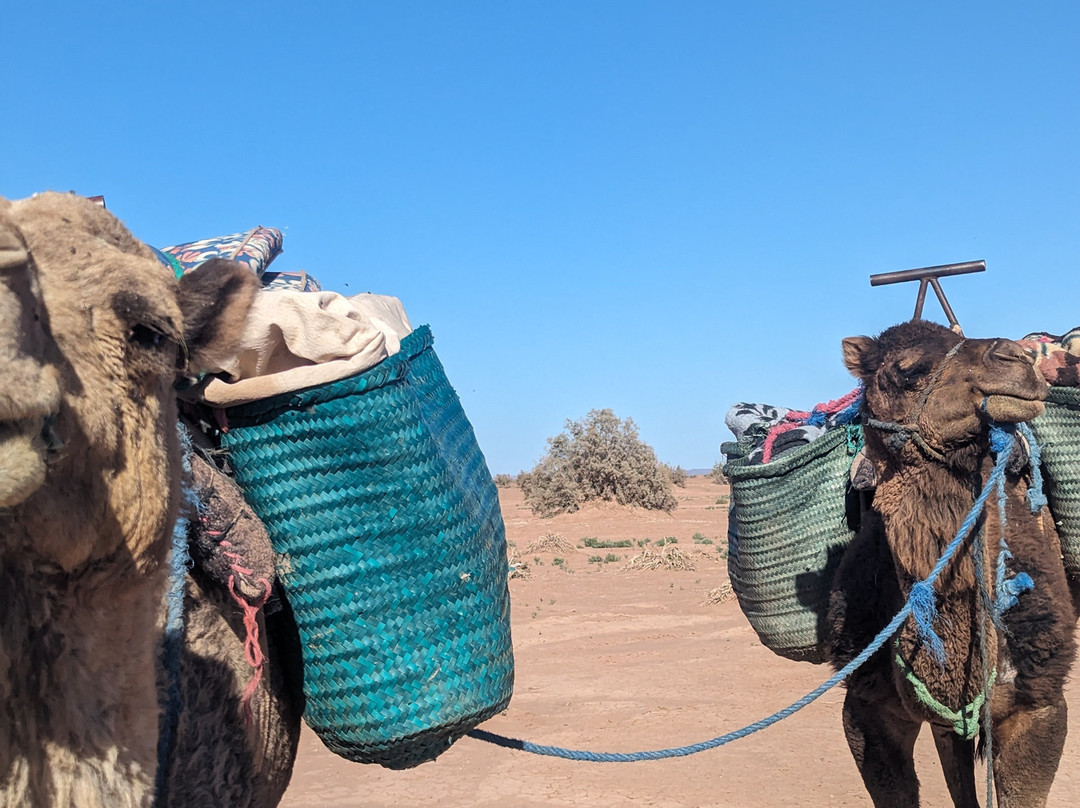 Yaya Desert Travel-M'diq必去景点