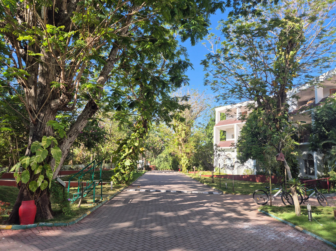 Gir Serai - IHCL SeleQtions主图