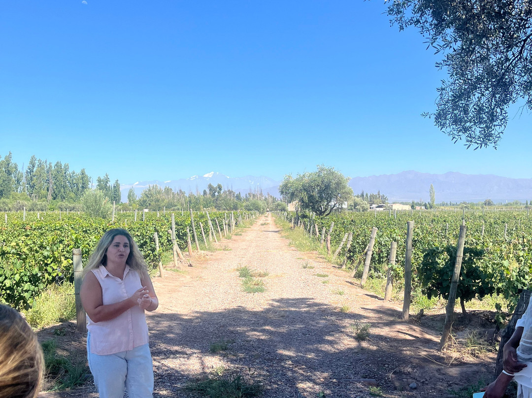 Bodega Familia Cassone-路冉得库约必去景点