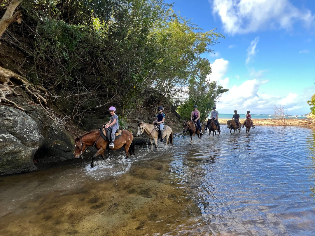 Esperanza Riding Company景点图片