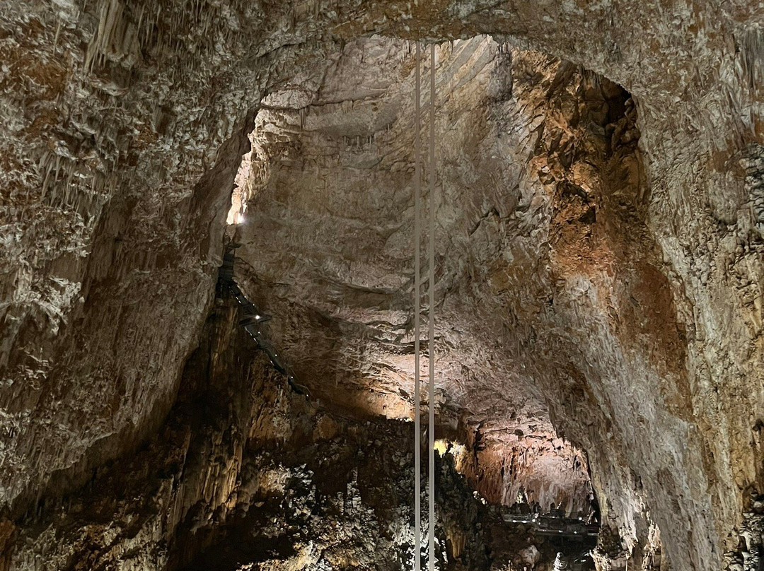 Grotta Gigante景点图片
