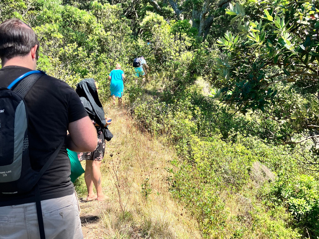 Moutohora Island Sanctuary (Whale Island) - Day Tour-法卡塔尼必去景点