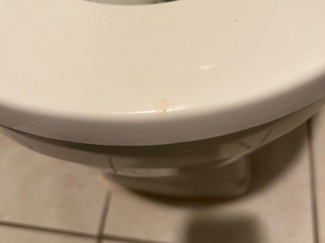 Super 8 by Wyndham Wooster主图