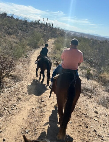 Saguaro Stables-图森必去景点