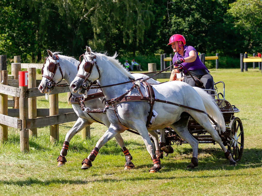 Sandringham Festival Of Carriage Driving 2025-Sandringham必去景点