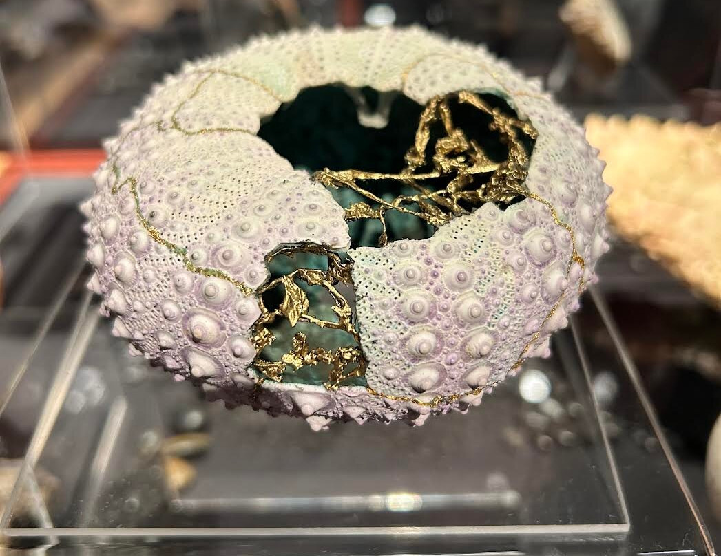 Art Gallery of Greater Victoria-维多利亚必去景点