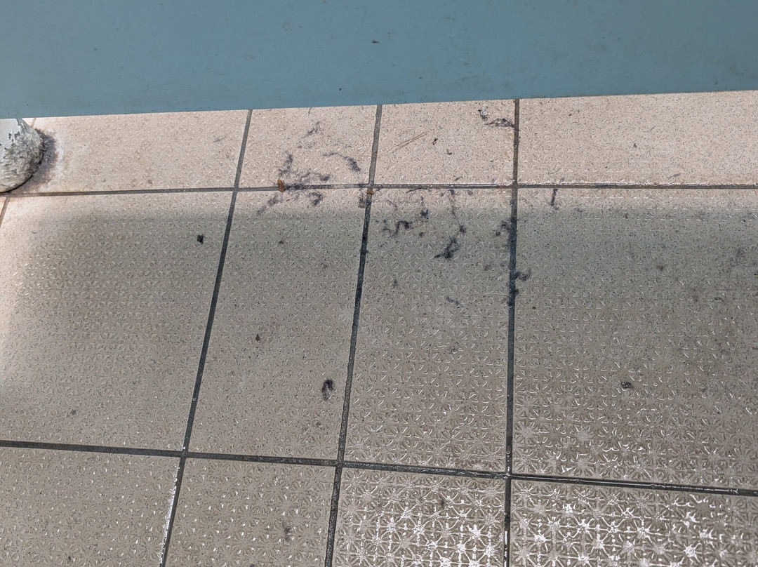 Bletchley Leisure Centre-Bletchley必去景点