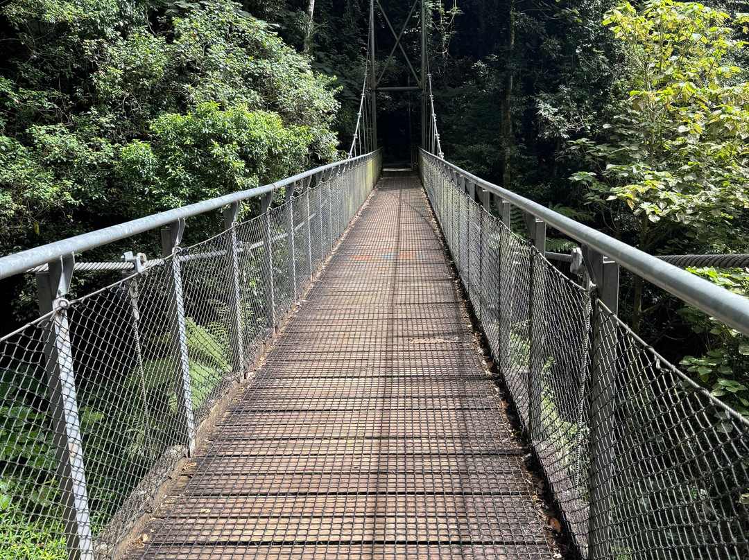 Dorrigo Rainforest Centre-Dorrigo必去景点