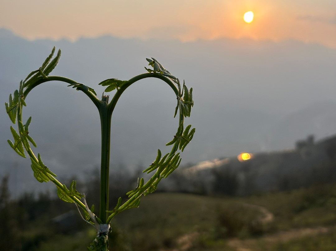 Sapa Trekking Mama Zuzu景点图片