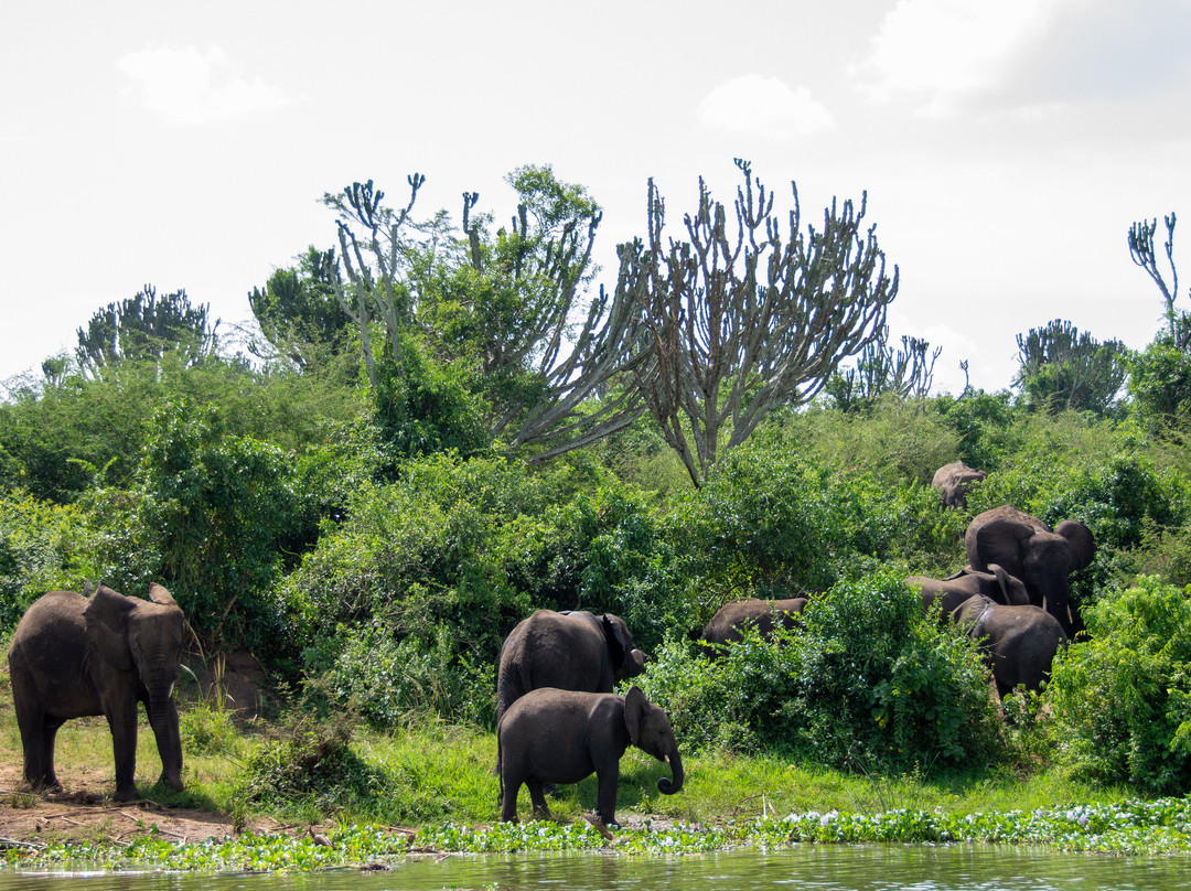 Experience Kigezi-Kisoro必去景点