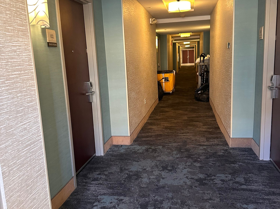 Hilton Garden Inn Dayton Beavercreek主图