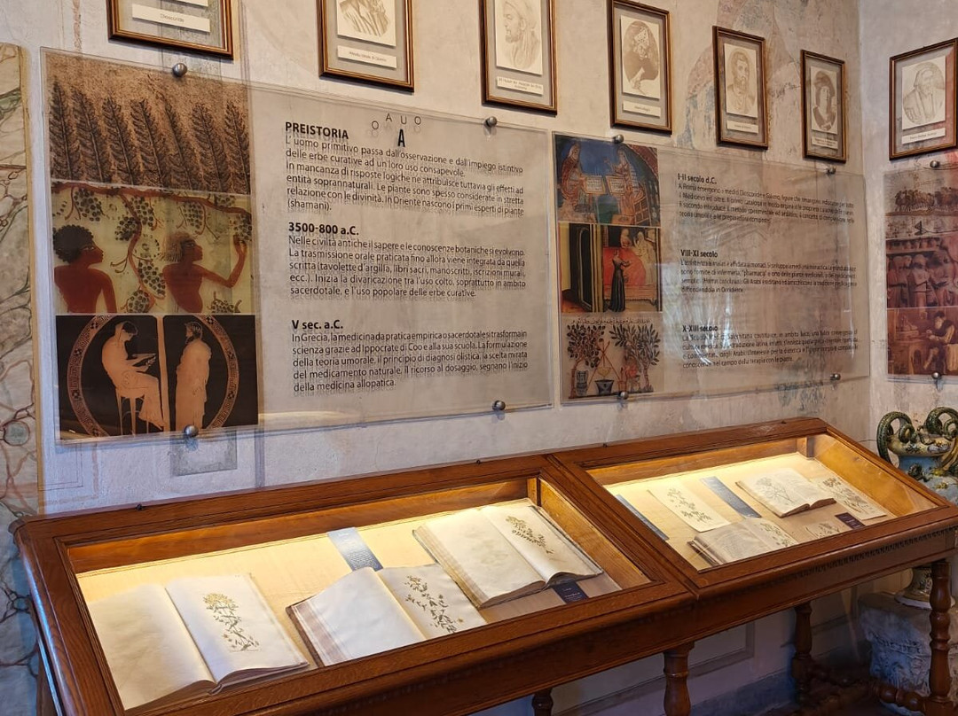 Aboca Museum景点图片