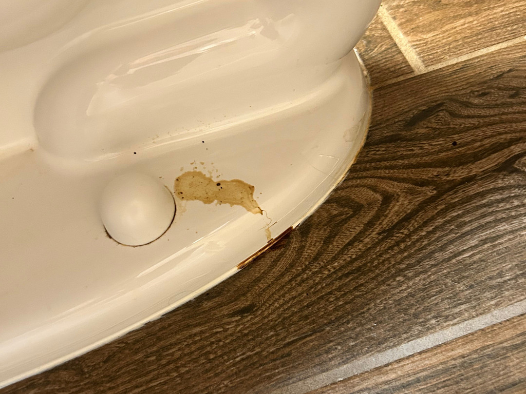 La Quinta Inn & Suites by Wyndham Boone University主图