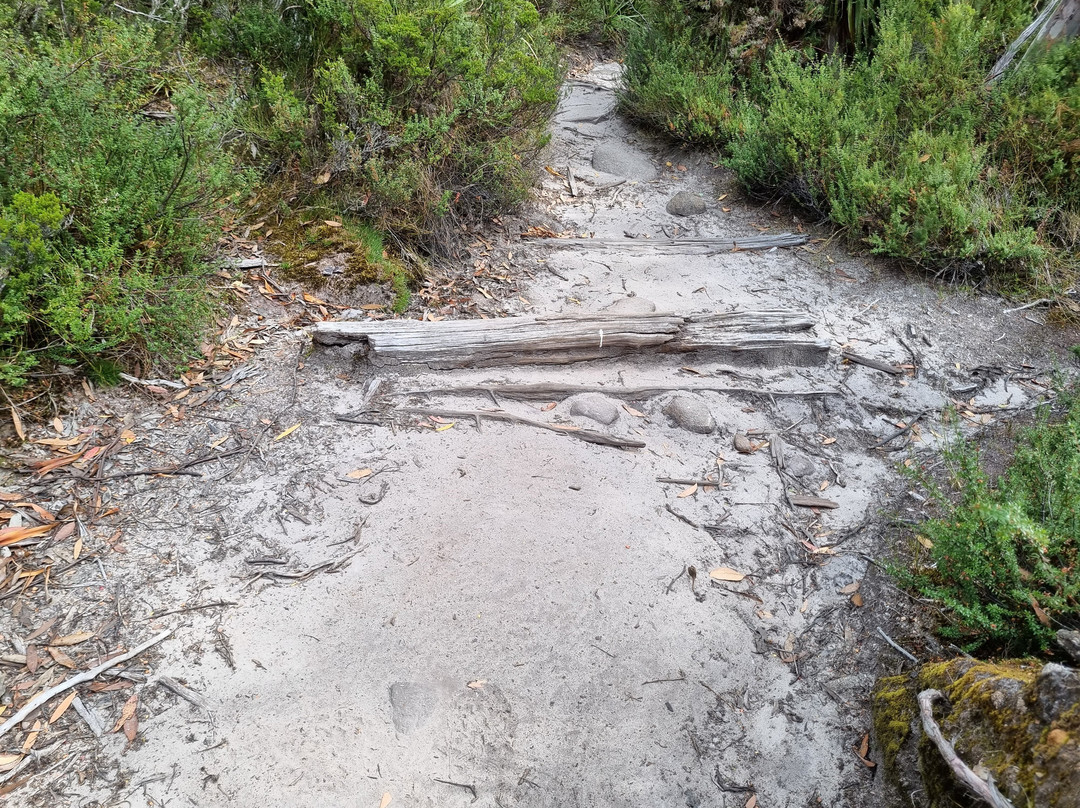 eGuide-谢菲尔德必去景点