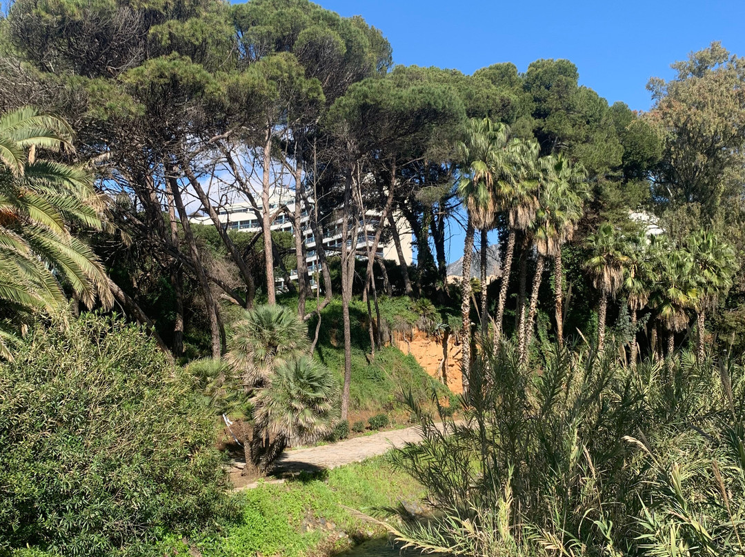 Playa de la Fontanilla景点图片