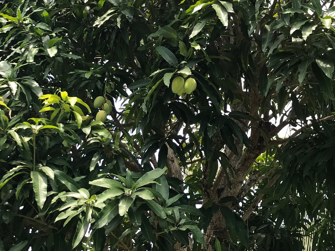 DAD Resort Phú Quốc主图