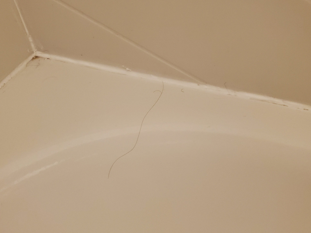 Fairfield by Marriott Inn & Suites Saginaw主图