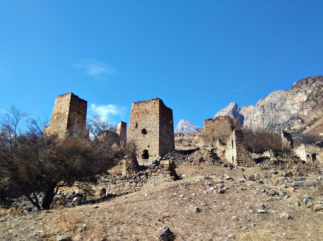 Egikal Towers Complex-Dzheyrakh必去景点