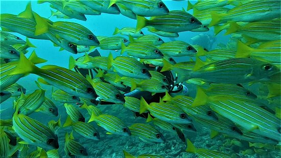 马弗谢瓦鲁酒店主图