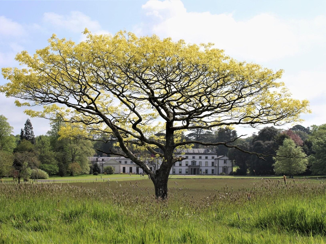 Fota House & Gardens-Fota Island必去景点
