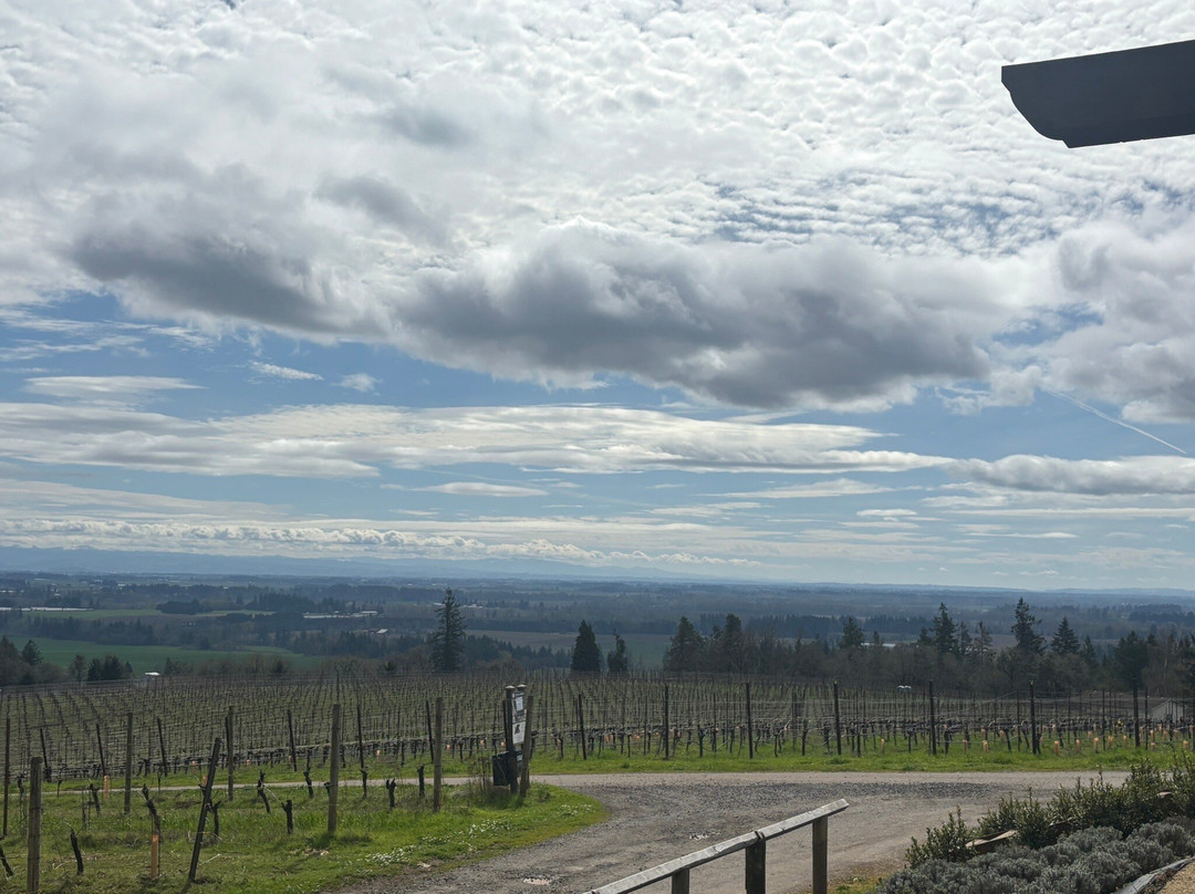 Durant Winery-Dundee必去景点