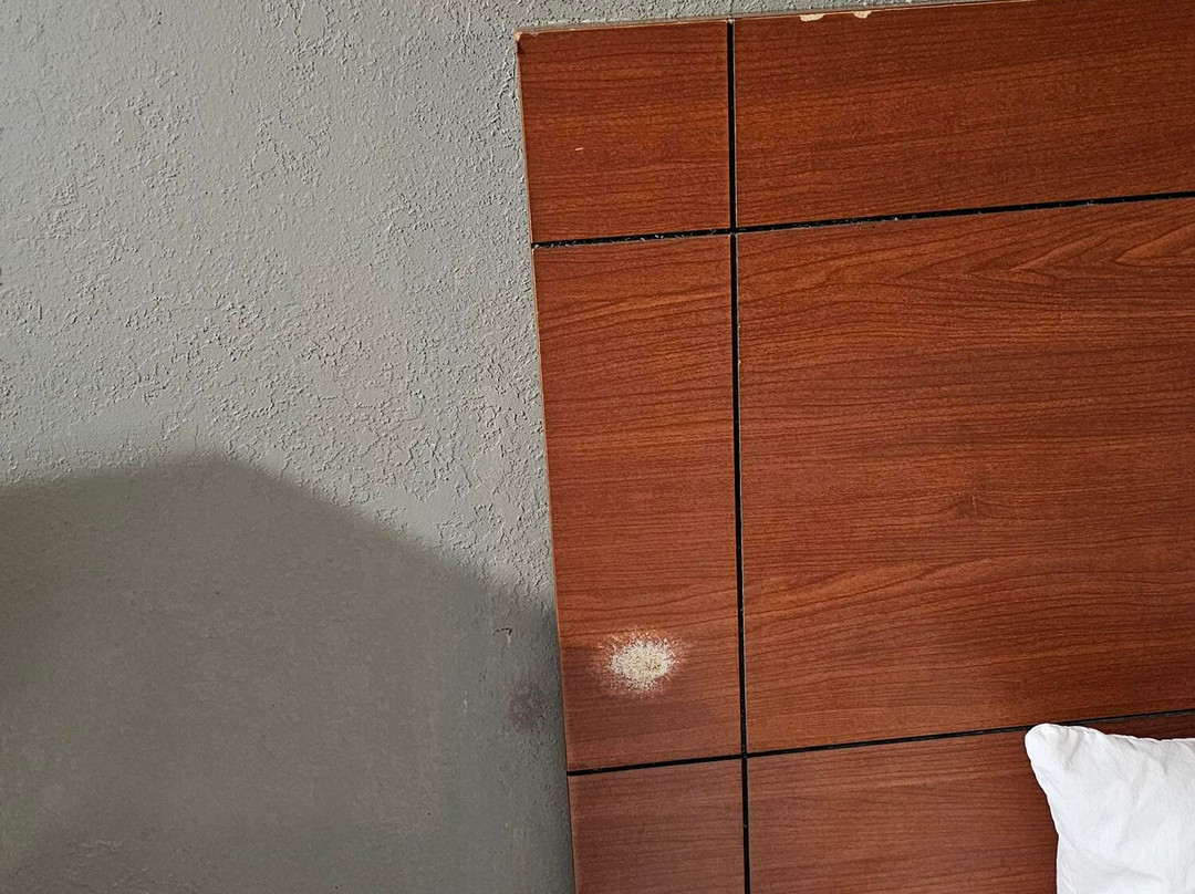 Days Inn by Wyndham Natchez主图