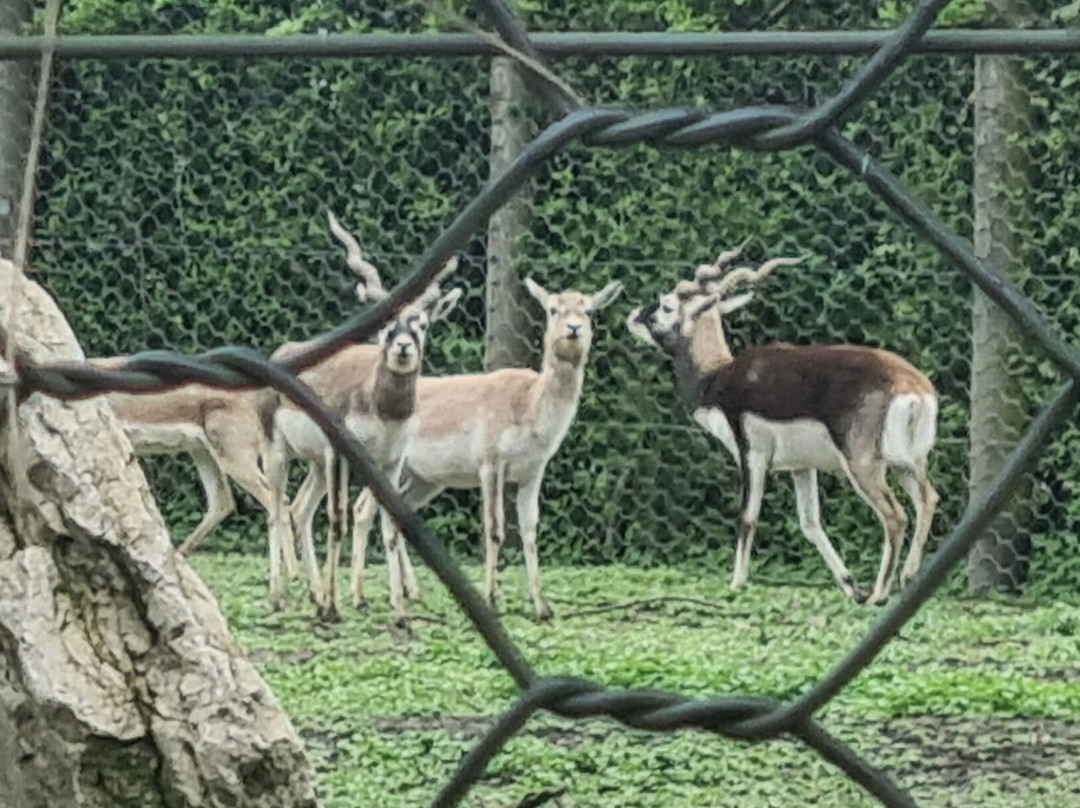 Parco Faunistico Valcorba-Pozzonovo必去景点