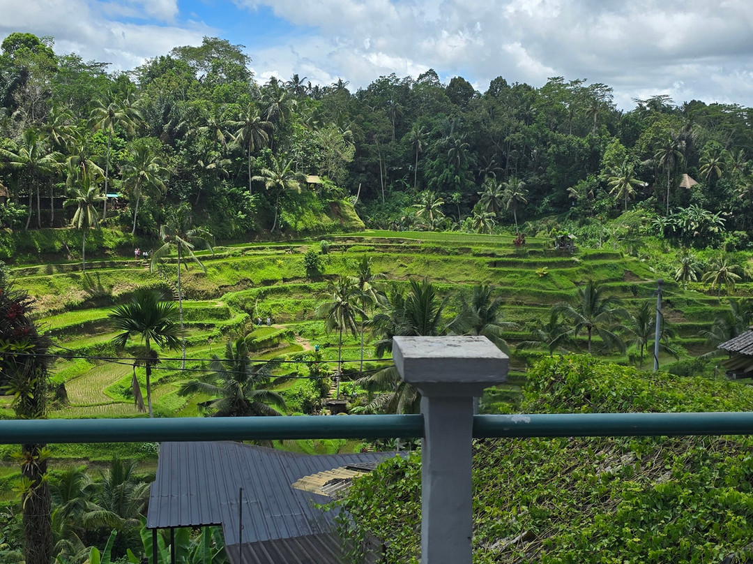 Gede Bali Driver-水明漾必去景点