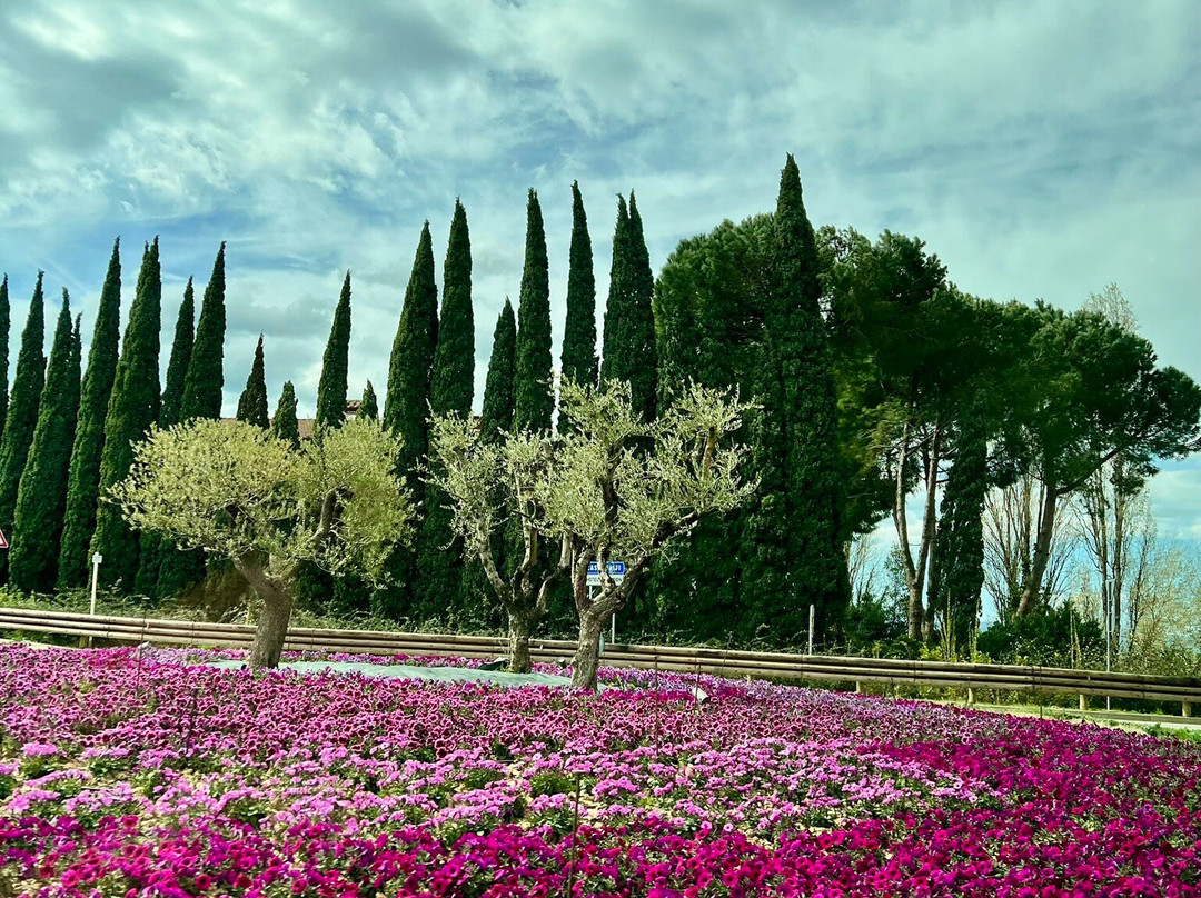 Tuscan Heart景点图片