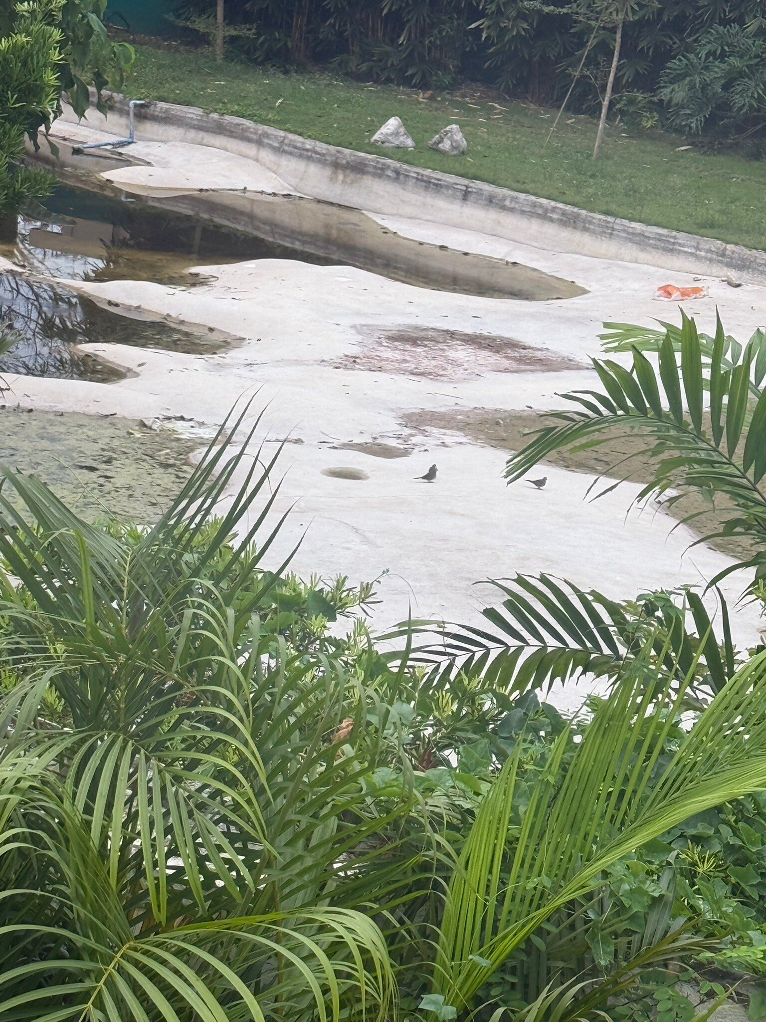 艾丝卡亚海滩度假村-官方