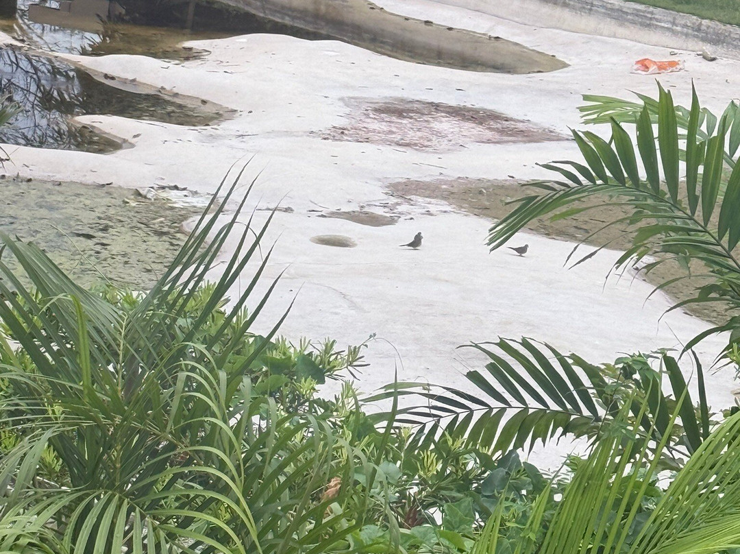 艾丝卡亚海滩度假村主图